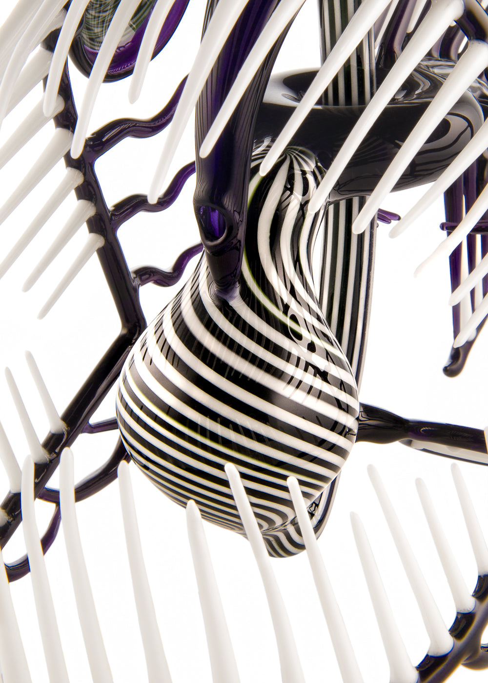 Black and White Angler Fish (Champs Flame-Off 1st Place Winner 2010) by Buck Glass